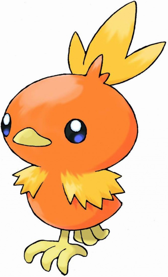 torchic pokedoll